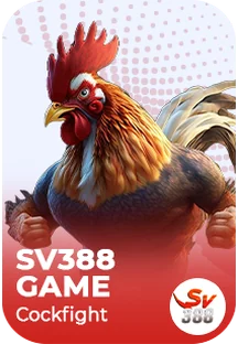 SV388 — Tab66 मा कुखुरा जुधाइ खेल प्रदायक